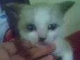 Não sei
