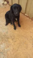 bilu