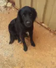 bilu