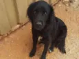 bilu