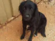 bilu