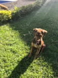 Frida