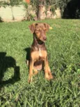 Frida