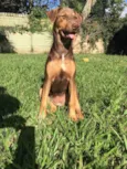 Frida