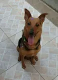 Nina 