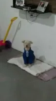 Branquinho