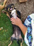 Lila