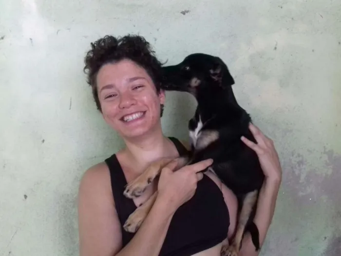 Cachorro ra a SRD idade 2 a 6 meses nome Berenice