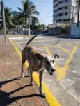 Sem Nome Definido