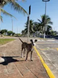 Sem Nome Definido