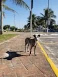 Sem Nome Definido