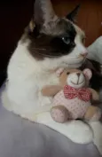 Amy