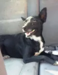 Nina