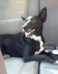 Nina