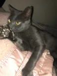 Ciro