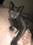 Ciro