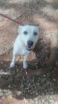 Lola