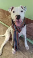 Frida
