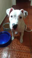 Frida