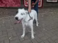 Nina