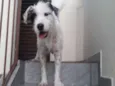 Nina