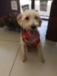 Tobby