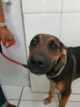 Zeus e Luna