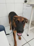 Zeus e Luna