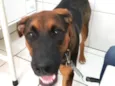 Zeus e Luna