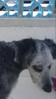Bob