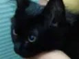 Titi