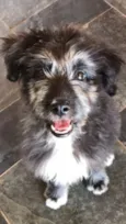 Bob