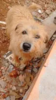 Jully