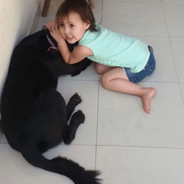 Cachorro ra a SRD idade 5 anos nome Bastian