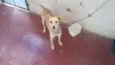 Frida