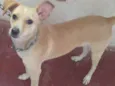 Frida