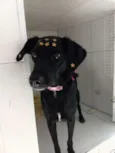 Princesa