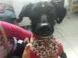 Princesa