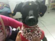 Princesa