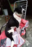 Susy