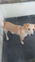 Marley