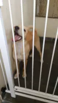 Marley