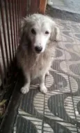 VOCÊ ESCOLHE