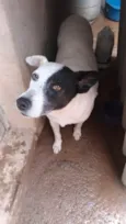 Gorda