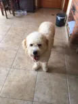 Bob