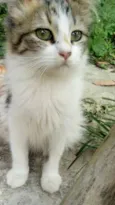 Zaniah