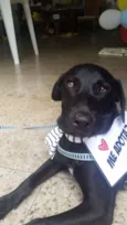 Francisco/Chico