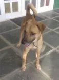 Farofa