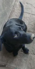 Francisco/Chico
