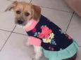 Lua